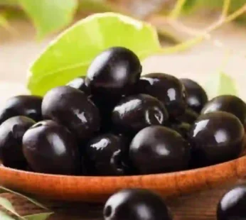Black Olives Baladi with Oil 10kg