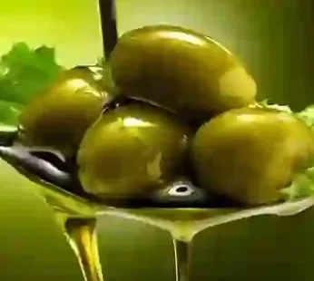 Green Olives Palestinian Bean with Oil 10kg